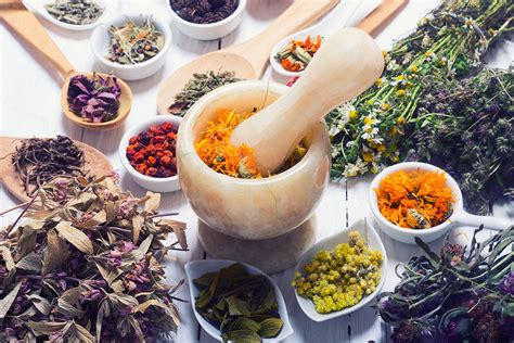 From Sage to Rosemary: Everyday Herbs with Extraordinary Powers